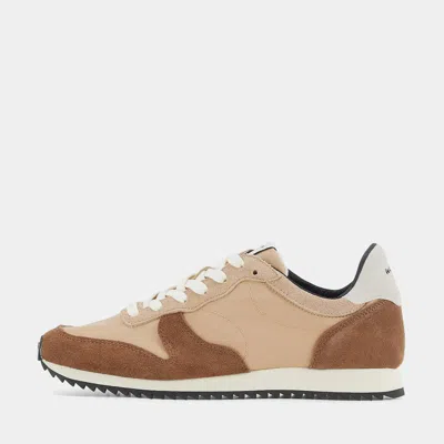 Norman Walsh Brown & Light Brown