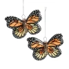 North Pole Trading Co . Butterfly Set 2-pc. Christmas Ornament In Orange