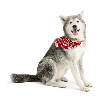 North Pole Trading Co Gingerbread Pet Bandana In White