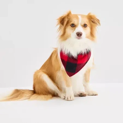 North Pole Trading Co . Moose Buffalo Check Matching Family Dog Bandana In Red