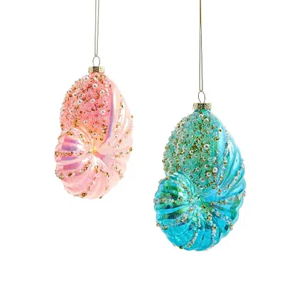 North Pole Trading Co . Nautilus Shell Blue And Pink 2-pc. Christmas Ornament