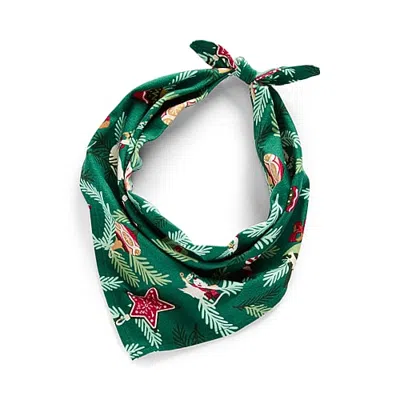 North Pole Trading Co Noel Pet Bandana In Green