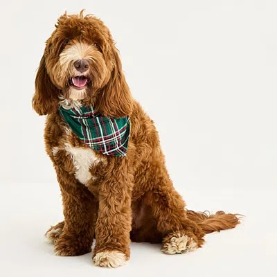 North Pole Trading Co Nptc Tartan Plaid Pet Bandana In Green