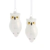 North Pole Trading Co . Owl Set 2-pc. Christmas Ornament In White