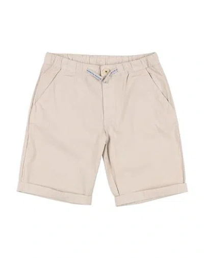 North Sails Babies'  Toddler Boy Shorts & Bermuda Shorts Light Grey Size 4 Cotton, Elastane