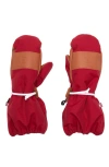 Northern Classics Waterproof Ski Mitten