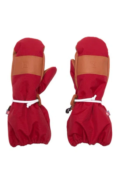 Northern Classics Waterproof Ski Mitten
