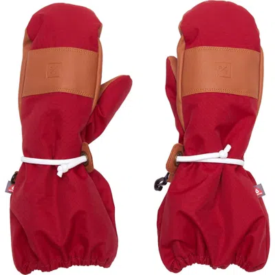 Northern Classics Waterproof Ski Mitten In Multi