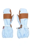 Northern Classics Waterproof Ski Mitten In Blue