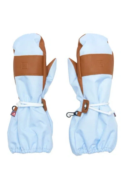 Northern Classics Waterproof Ski Mitten In Blue