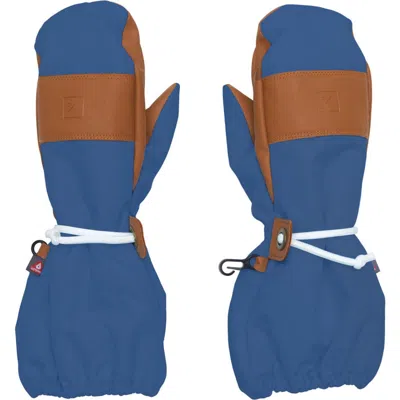 Northern Classics Waterproof Ski Mitten In Multi