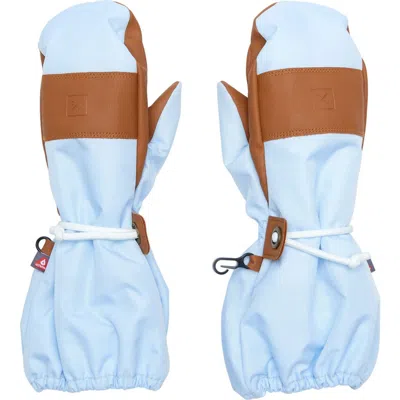 Northern Classics Waterproof Ski Mitten In Blue