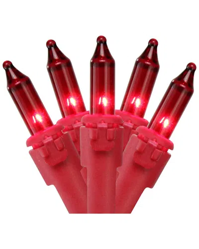 Northern Lights Dnu Unprofitable Northlight 100 Count Red Mini Christmas Lights 20ft Red Wire