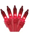Northern Lights Dnu Unprofitable Northlight 100 Count Red Mini Christmas Lights 20ft Red Wire In Red