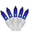Northern Lights Northlight 100-count Blue Mini Christmas Light Set 20.25ft White Wire In Blue