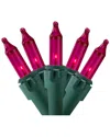 Northern Lights Northlight 100-count Pink Mini Christmas Light Set 20.25ft Green Wire In Pink