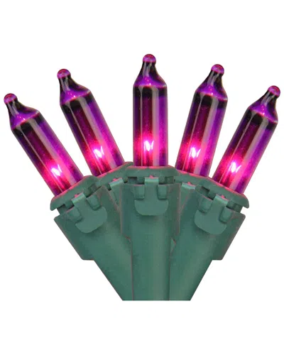 Northern Lights Northlight 100-count Purple Mini Christmas Light - 20.25ft Green Wire