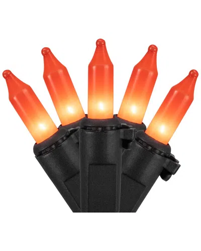 Northern Lights Northlight 100ct Orange Mini Halloween Light Set  20ft Black Wire
