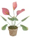 Northern Lights Northlight 19in Pink And Green Decorative Calla Lily Artificial Christmas Plants In Pink