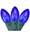 Northern Lights Northlight 25 Blue Transparent C9 Christmas Lights - 24 Ft Green Wire In Blue