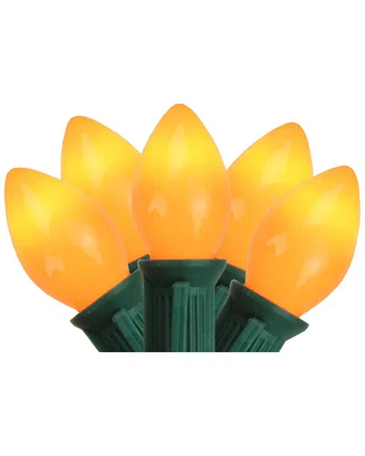 Northern Lights Northlight 25-count Opaque Orange C7 Christmas Light Set  24ft Green Wire