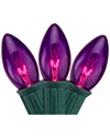 Northern Lights Northlight 25-count Purple Transparent C9 Christmas String Lights Set  24ft Green Wire In Purple