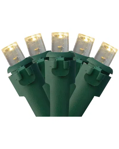 Northern Lights Northlight 300 Pure White Led Wide Angle Mini Christmas Lights - 74.75 Ft  Green Wire