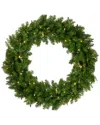 Northern Lights Northlight 36 Pre-lit Northern Pine Artificial Christmas Wreath - Warm Clear  Led Lights In Green