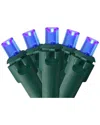 Northern Lights Northlight 50 Blue Led Wide Angle String Christmas Lights - 17.5 Ft Green Wire In Blue