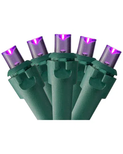 Northern Lights Northlight 50 Purple Led Wide Angle Christmas Lights - 16.25 Ft Green Wire