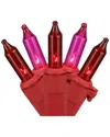 Northern Lights Northlight 50ct Red And Pink Mini Valentine's Day Light Set 10ft Red Wire In Red