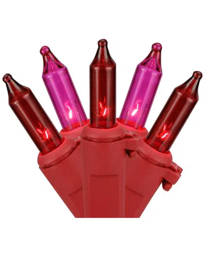 Northern Lights Northlight 50ct Red And Pink Mini Valentine's Day Light Set 10ft Red Wire