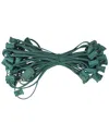Northern Lights Northlight 50ft Green Contemporary Commercial C7 Christmas Light Socket Set In Green