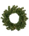 Northern Lights Northlight Deluxe Dorchester Pine Artificial Christmas Wreath 18-in Clear  Lights In Green
