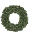 Northern Lights Northlight Pre-lit Battery Operated Canadian Pine Artificial Christmas Wreath - 24-in Clear Lights In Green