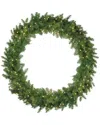 Northern Lights Northlight Pre-lit Northern Pine Led Artificial Christmas Wreath - 48-in Warm  White Lights In Green