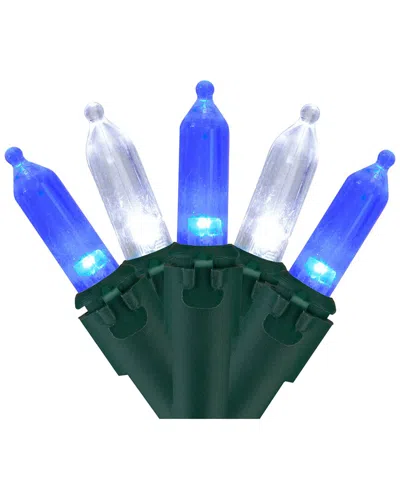 Northern Lights Northlight Set Of 100 Blue & Pure White Led Mini Christmas Lights 4in Spacing  - Green Wire