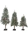 NORTHERN LIGHTS NORTHLIGHT SET OF 3 PRE-LIT SLIM FLOCKED ALPINE ARTIFICIAL CHRISTMAS TREES 5FT - CLEAR LIGHTS