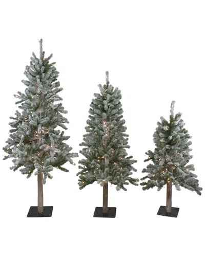 Northern Lights Northlight Set Of 3 Pre-lit Slim Flocked Alpine Artificial Christmas Trees 5ft - Clear Lights In Green
