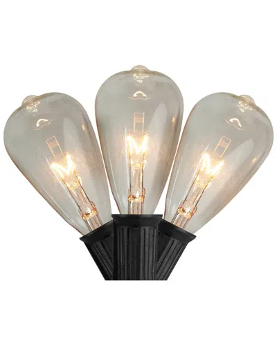 Northlight 10 Count Clear Edison Glass Patio Lights 9ft Black Wire