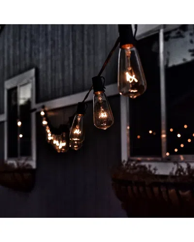 Northlight 10-count Clear Transparent Edison Patio Light Set