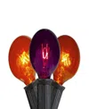 Northlight 10-count G40 Globe Halloween Lights 9', Black Wire In Purple