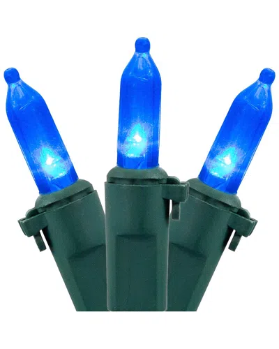 Northlight 100 Blue Led Mini Christmas Lights