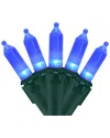 Northlight 100 Blue Led Mini Christmas Lights In Blue