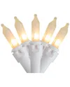 Northlight 100 Count Frosted Clear Mini Christmas Lights In Clear