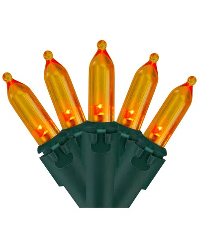 Northlight 100 Orange Led Mini Christmas Lights