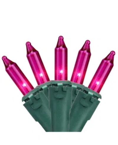 Northlight 100 Pink Mini Christmas Lights 2.5" Spacing