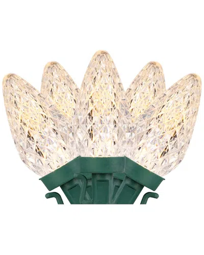 Northlight 100 Warm White Led Faceted C9 Christmas Lights - 66 Ft Green Wire