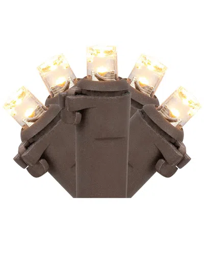 Northlight 100 Warm White Led Wide Angle Christmas Lights In Multicolor