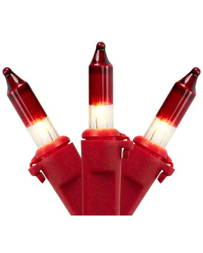Northlight 100-count Mini Christmas Light Set - Clear With Red Tips